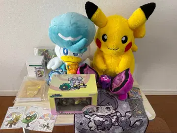 피카피카 박스 2026 코이킹 백 없음