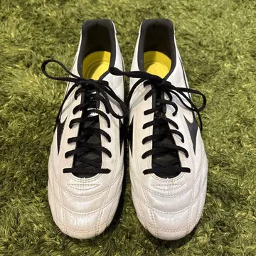 MIZUNO 모나르시다 교체식