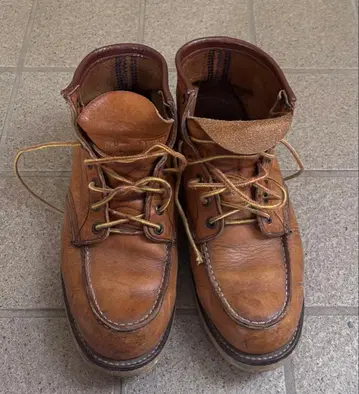 레드윙 아이리쉬 세터 부츠