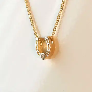 말굽 모양 목걸이