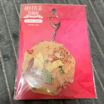 타네무라 아리나 원화전 카무카제 카이토 쟌느 키링