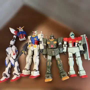 hg 짐 등 정크제품