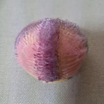 아이시 인형 밤톨머리