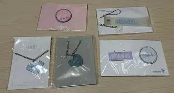 세븐틴 원우 아크릴 참 키링