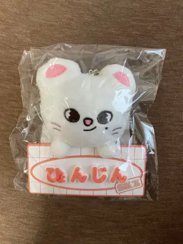 [ 미사용 새상품 ] Stray Kids 지니레트 네임 백참