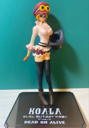 피규어아츠 ZERO 원피스 코알라