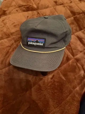 patagonia 그레이 캡 스냅백