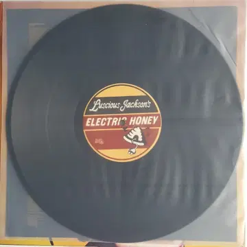 LUSCIOUS JACKSON - ELECTRIC HONEY LP | 브랜드 중고거래 플랫폼