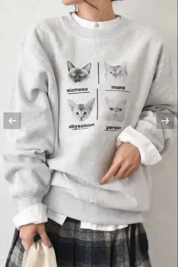 ALDAYS 크루넥 맨투맨 하그하그 hughug