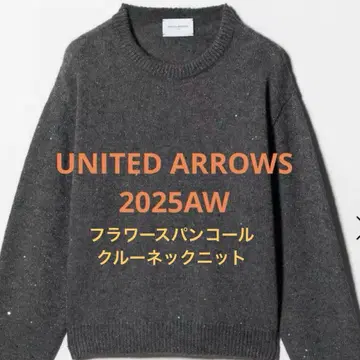 2025AW 유나이티드 애로우즈 플라워 스팽글 크루넥 니트