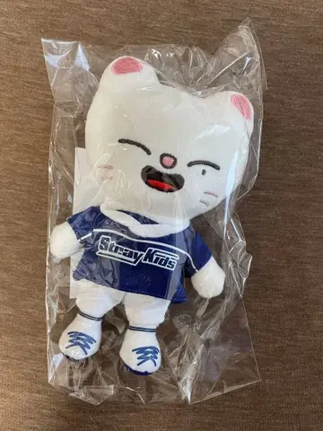 [ 미개봉 새상품 ] Stray Kids 지니렛 백참