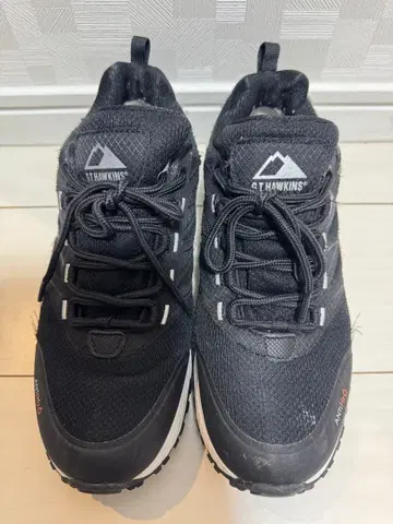 GT HAWKINGS 마운트599