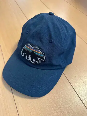 파타고니아 네이비 캡