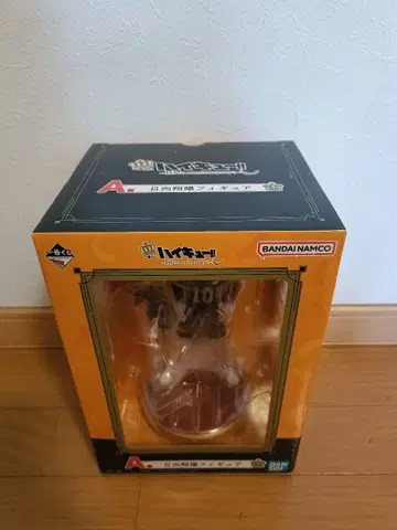 하이큐 제일복권 10th anniversary A상 히나타 쇼요!!