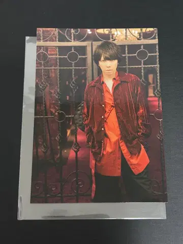 시드 마오 Valentinedaylive D상 브로마이드