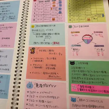 [ 관리영양사 국가시험 ] 요약 노트