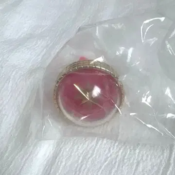 프로세카 아즈사와 코하네 세카라이 반지 라이트 5th Frontier