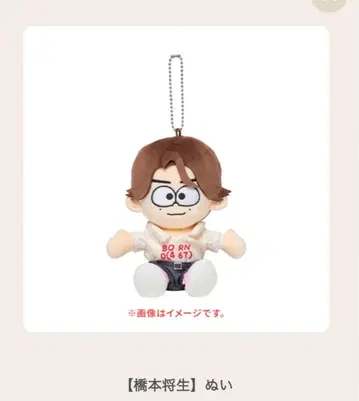 timelesz 타임레스 하시모토 마사키 봉제 인형 FAM 돔