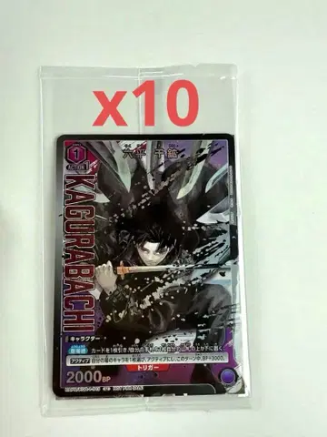 카구라바치 유니온 아레나 UAPR/KGR-1-013 롯페이 치카 10장