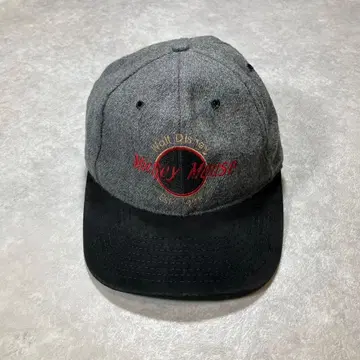 90s USA제 Disney Hard Rock parody 캡