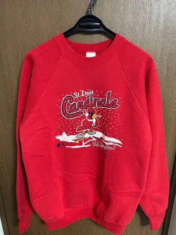 Fruits of the room 맨투맨