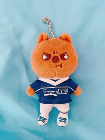 스키즈 SKZOO 콰카 백참