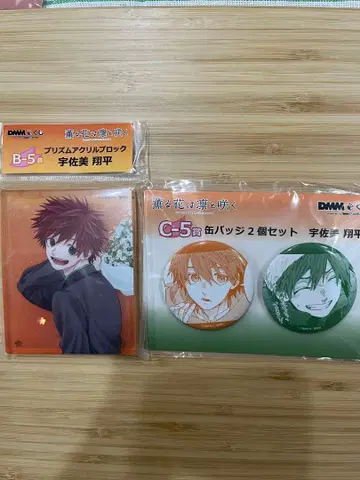 우사미 쇼헤이 프리즘 아크릴 블록 & 캔뱃지 세트