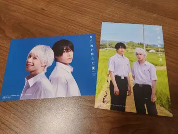 빛이 죽은 여름 카드 혼지마 준세이 이마마키 테루