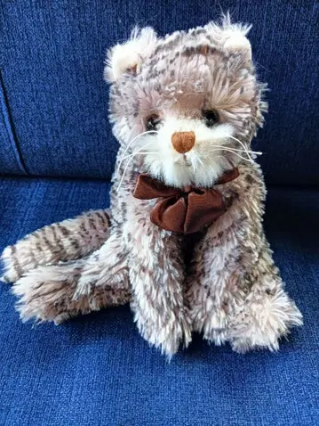 부코우스키 Bukowski 고양이 봉제 인형 택 포함