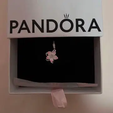 판도라 벚꽃 꽃 참