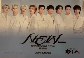 2장 세트 SEVENTEEN WORLD TOUR 클리어 파일
