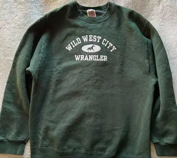 90~2000s 프룻 오브 더 룸 맨투맨 트레이닝복