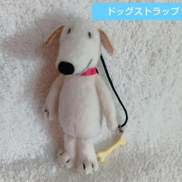 유나이티드 애로우즈 도그 스트랩