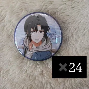 아이나나 이즈미 이오리 달력 캔뱃지 24개