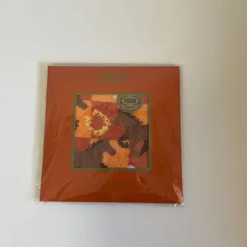 페이 x 유나이티드 애로우즈 콜라보 손수건 스프린트 호스