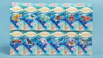 블록 컬렉션 아쿠아리움