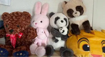 코스트코 프라이스 빅 봉제 인형 Big 봉제 인형 묶음 판매 심바