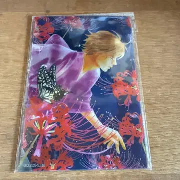 치하야후루 원화전 클리어 브로마이드 5장 세트 BOYS