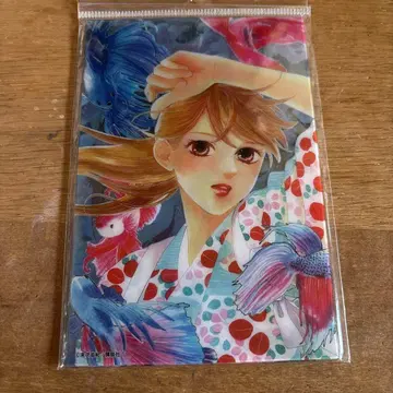 치하야후루 원화전 클리어 브로마이드 5장 세트 GIRLS