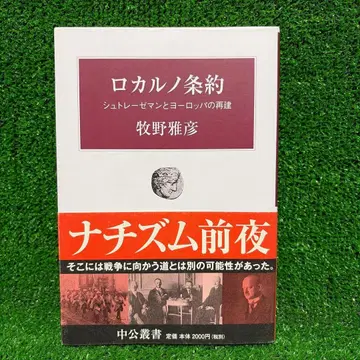 로카르노 조약 슈트레제만과 유럽의 재건 (중공총서)