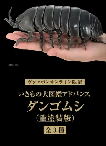 단고무시 온라인 한정판 중도장판 이리도단고무시 생물대도감 어드밴스