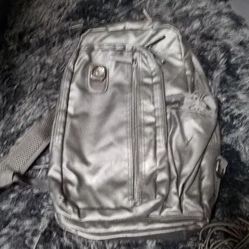 CRESTIA 그레이 럭색/백팩