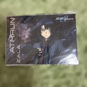 건담 시드 프리덤 아스란 자라