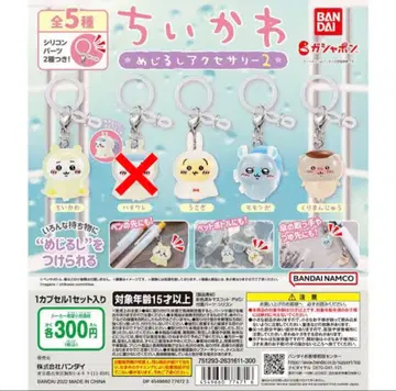 치이카와 메지루시 액세서리 2