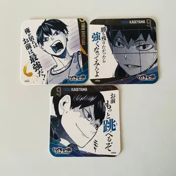 하이큐!! 청춘 격려 코스터 카게야마