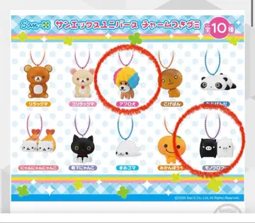 산엑스 유니버스 참 구미 아프로견 흑백부