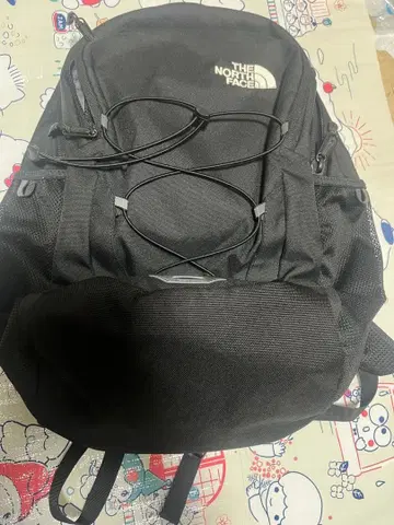 THE NORTH FACE 블랙 백팩