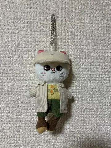 Stray kids Jiniret 백참