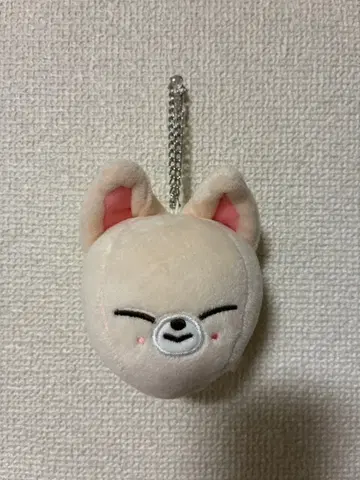 Stray kids FoxI.Ny 백참