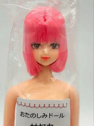 사야카 리카짱 캐슬 오타노시미 인형 핑크 머리 제니 프렌드